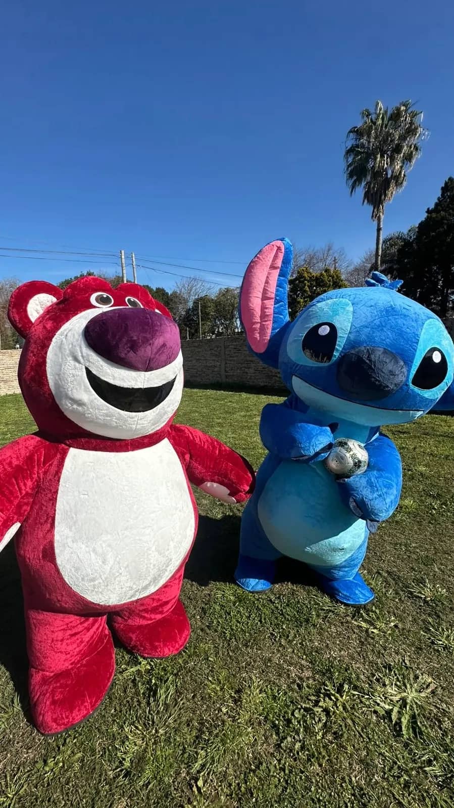 Show de Personajes (Stitch o Lotso) - imagen 1